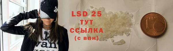 PSILOCYBIN Богданович