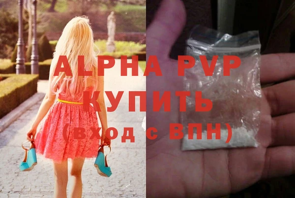 PSILOCYBIN Богданович