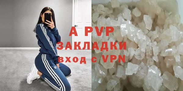 PSILOCYBIN Богданович