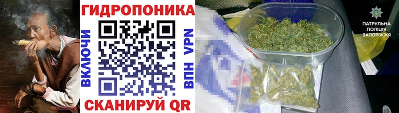 Бошки Шишки планчик  Волжск 